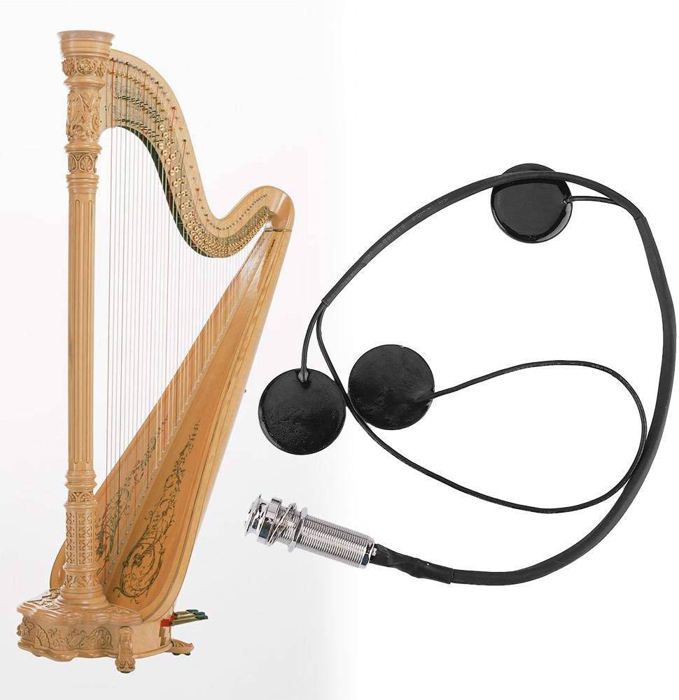 Audio Coils Harp