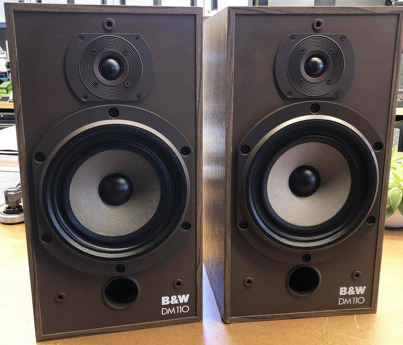 Bowers and Wilkins DM110