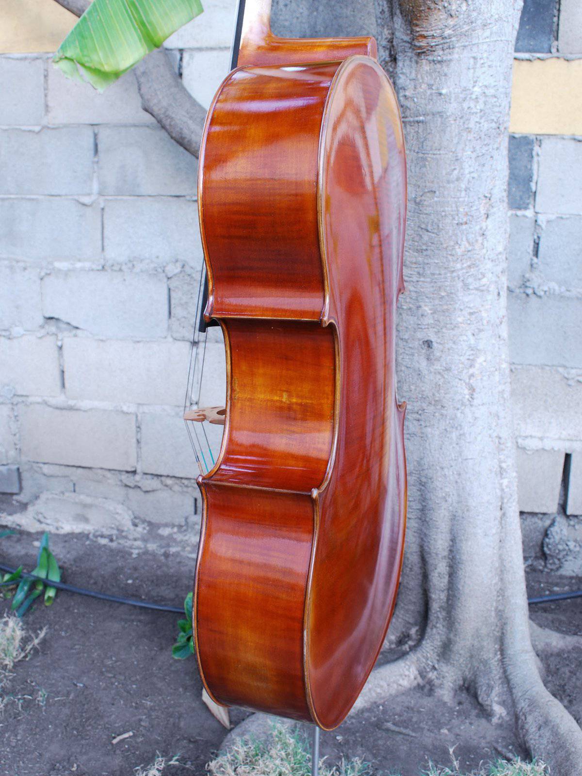 Cello Limited