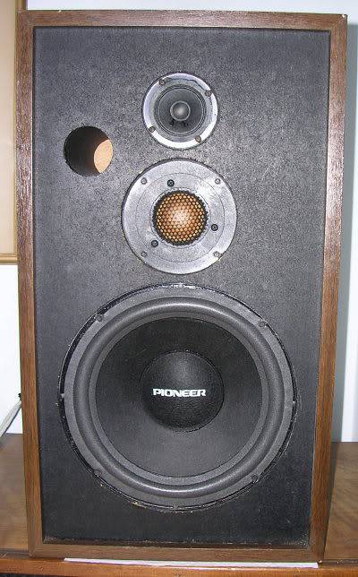 Pioneer Project 100