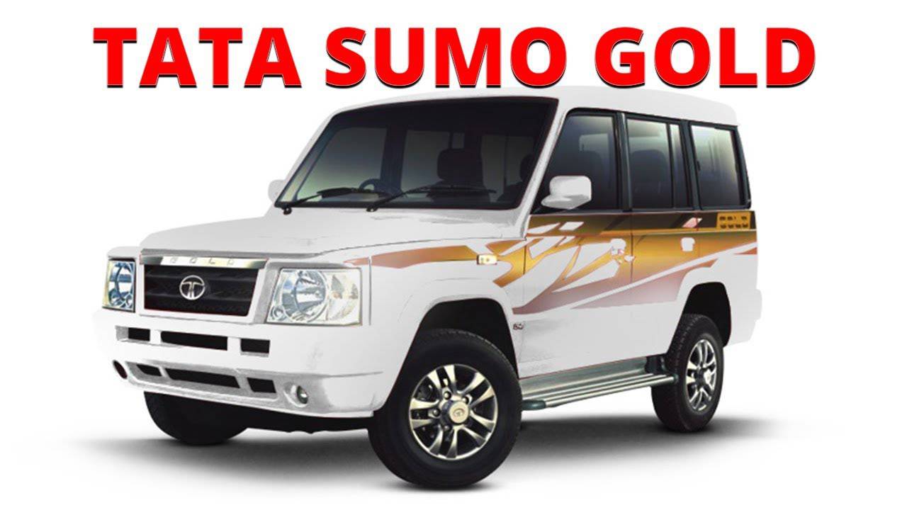 Sumo The Gold