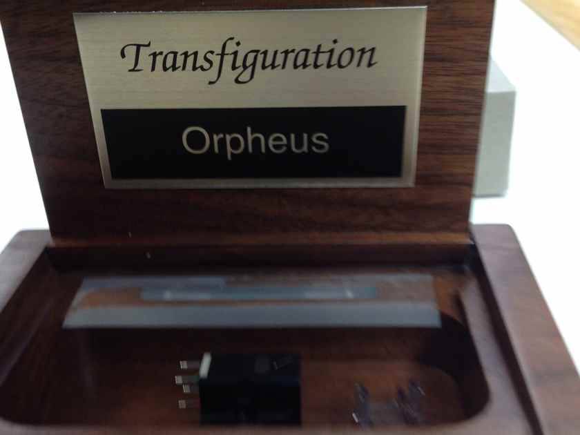 Transfiguration Orpheus
