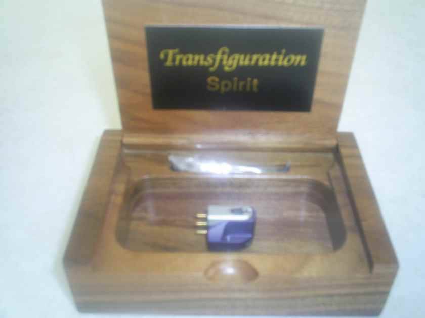 Transfiguration Spirit